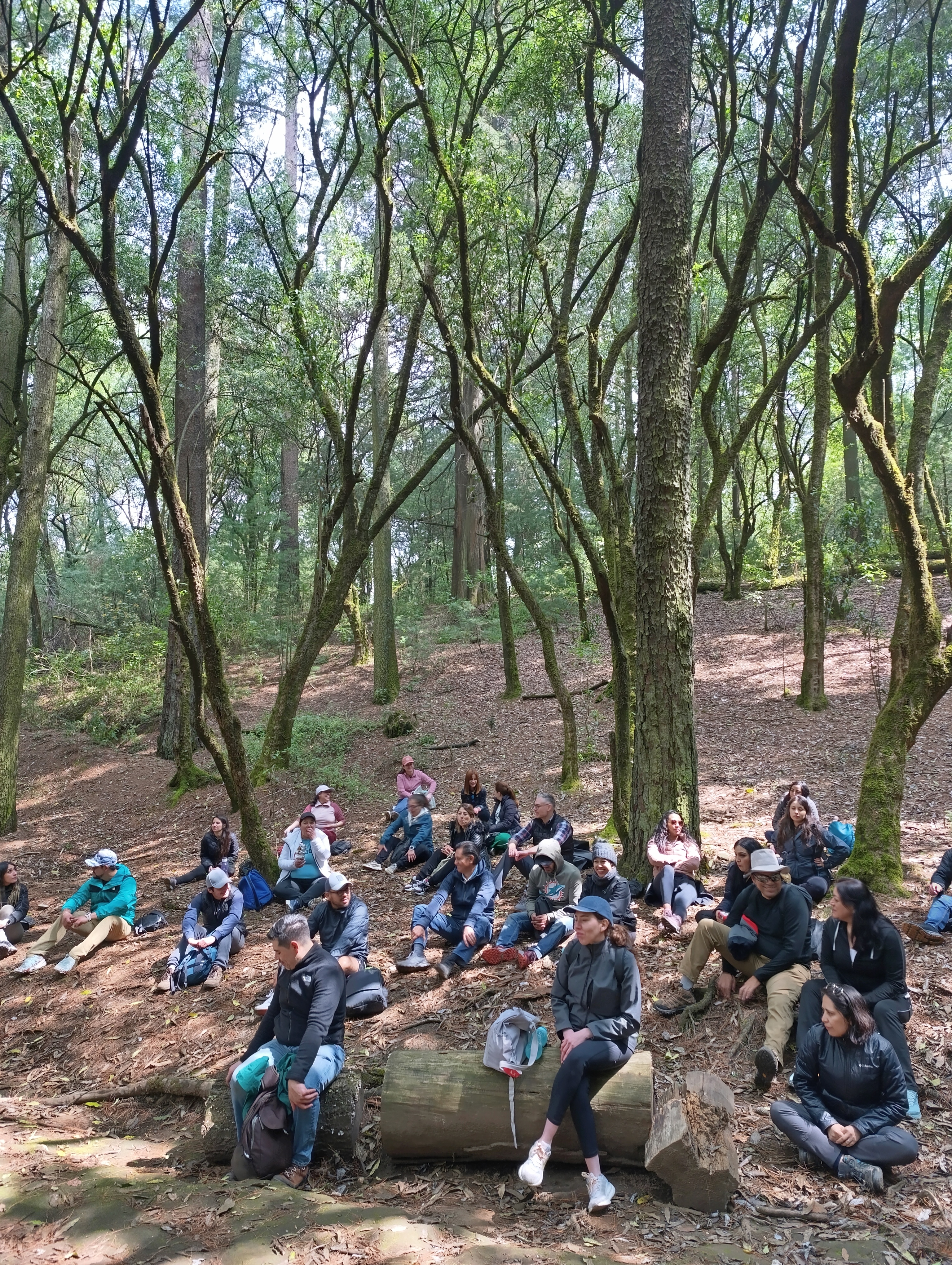 Presentación de estrategias climáticas para organizaciones