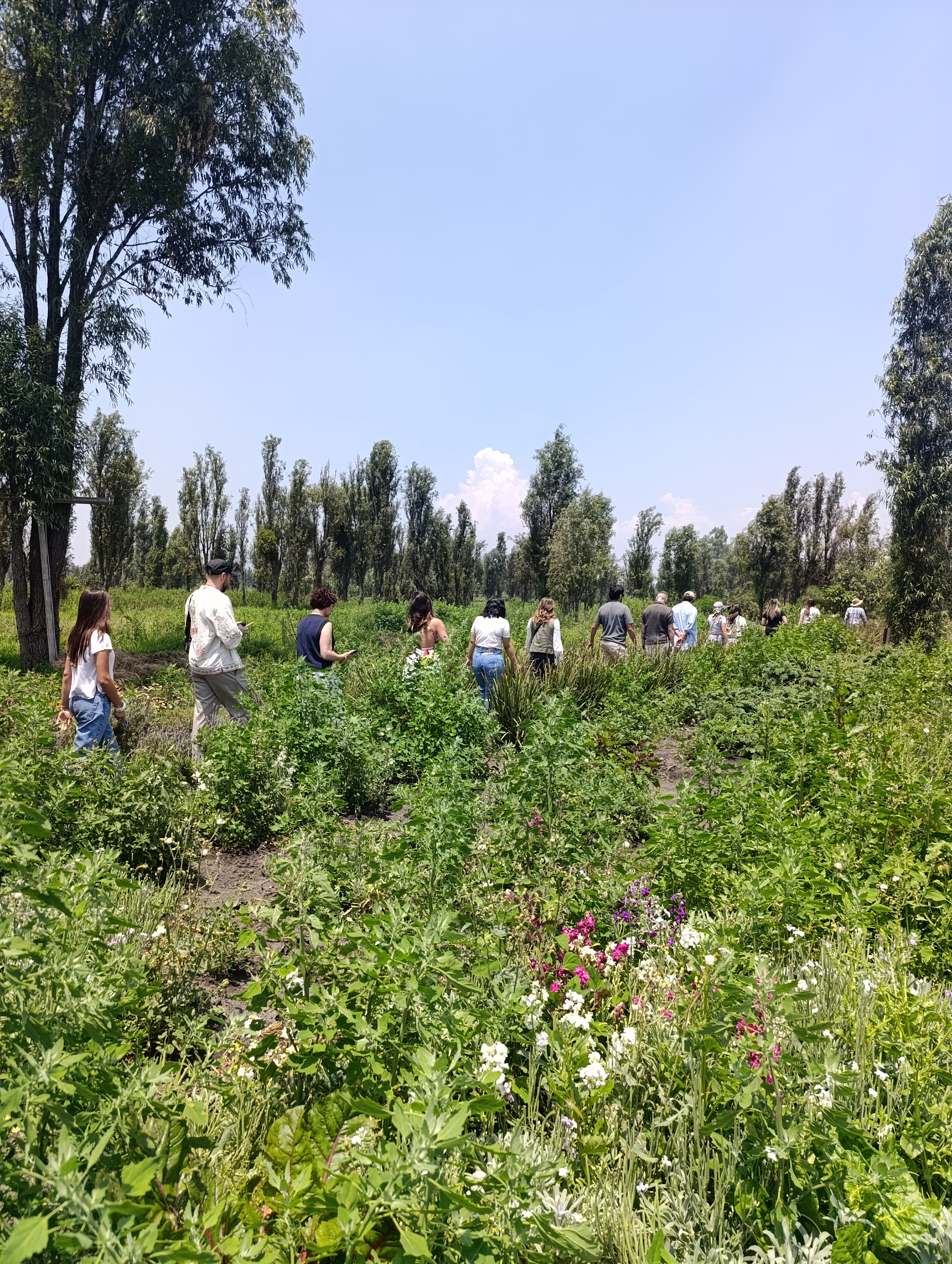 Colaboradores participando en actividad de bienestar y naturaleza