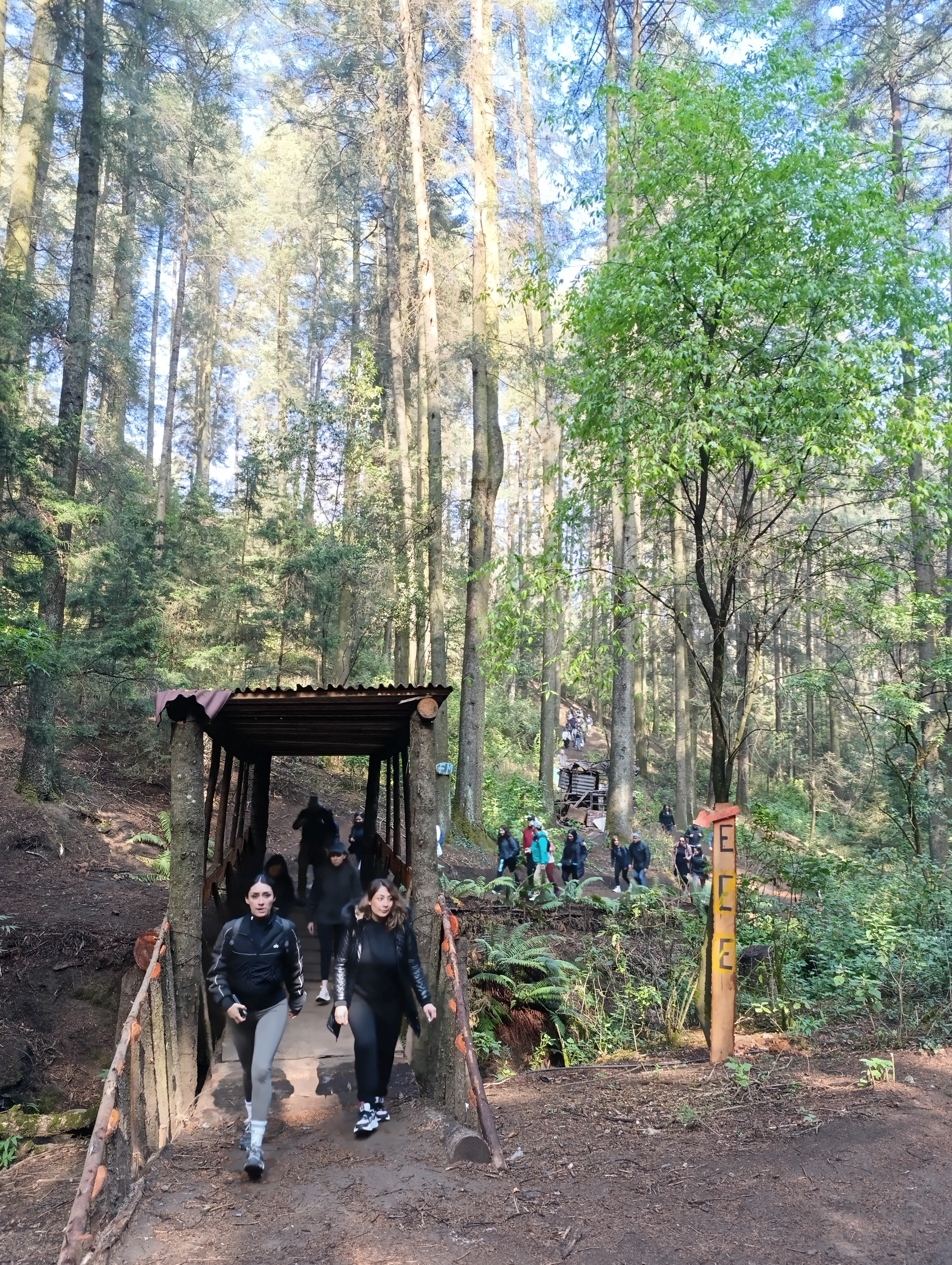 Experiencia de teambuilding 1