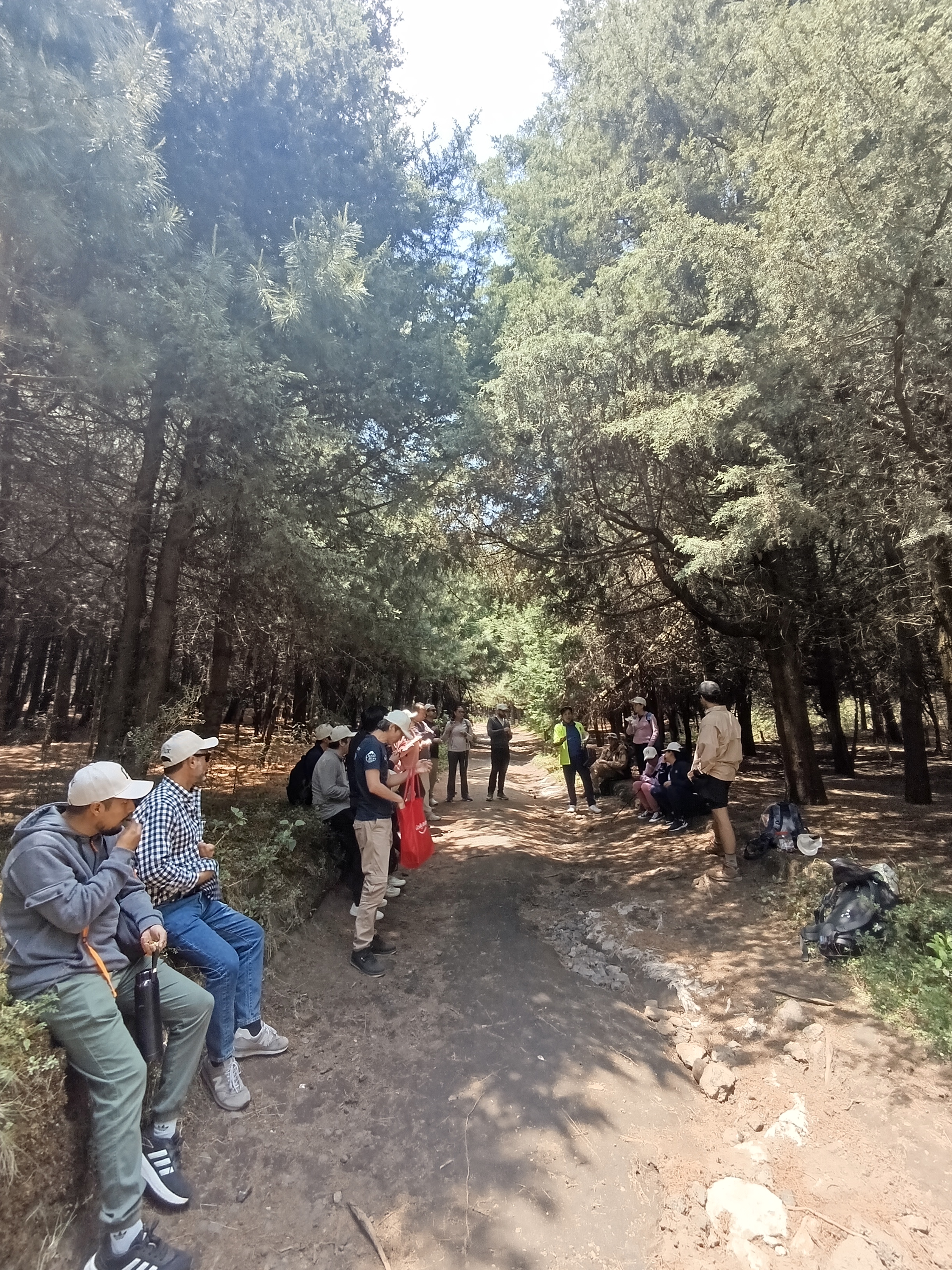 Voluntariado corporativo - Reforestación y limpieza