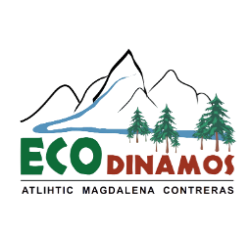 Logo EcoDinamos